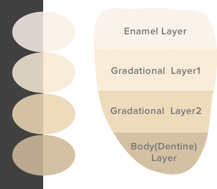 Excelente ejemplo de estructura de capas en un diseño de materiales dentales, mostrando las diferentes capas que componen un esmalte dental.