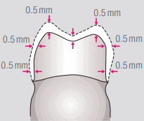 Cráneo dental y herramientas de Suministros dentales de Binario Digital en Costa Rica. Equipo dental profesional y suministros para clínicas odontológicas. Calidad y confianza en cada producto.