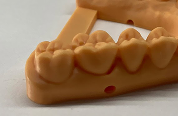 Modelos de dientes de entrenamiento dental para prácticas clínicas y educativas, utilizados por profesionales y estudiantes en la formación odontológica.