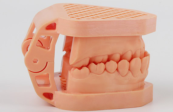 Modelo de prótesis dental de encía completa para demostración en clínicas dentales y estudios odontológicos.