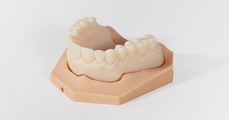 Impresora 3D de resina PioCreat D136 3 Prótesis dentales en modelo de estudio, utilizados en odontología para planificación y práctica clínica.