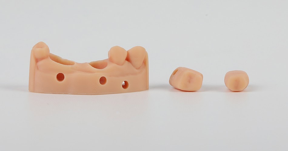 Impresora 3D de resina PioCreat D136 5 Prótesis dental de silicona con varios componentes para restauración oral. Ideal para clínicas dentales y laboratorios especializados en odontología.